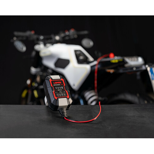 Amperomatic Bike, caricabatteria intelligente, 6/12V - 1A - immagine 8