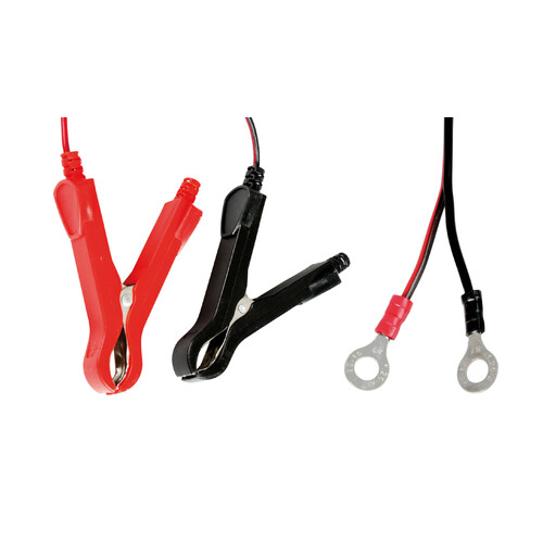Amperomatic Bike, caricabatteria intelligente, 6/12V - 1A - immagine 3